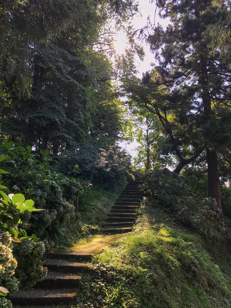 Botanische tuin van Batumi